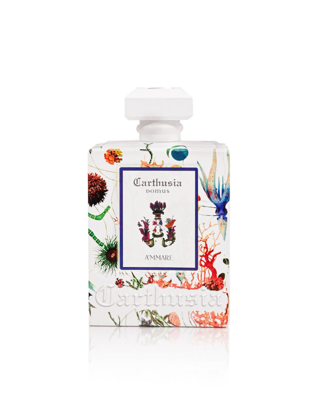 Carthusia The Scents of Capri | Official site